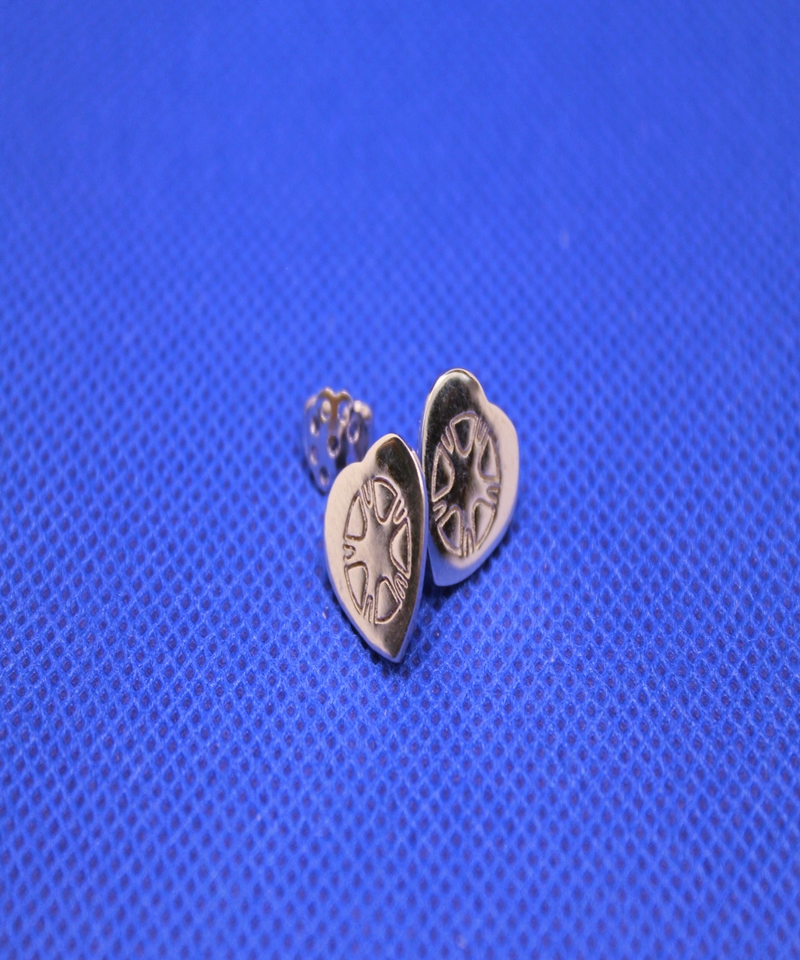 Collezione Orecchini  GC Group Cycling